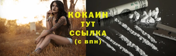 дживик Аркадак
