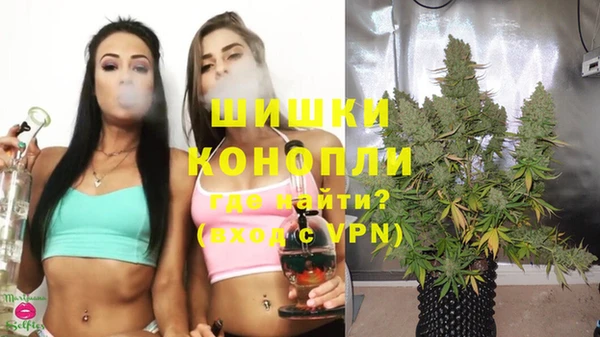 спайс Тайга