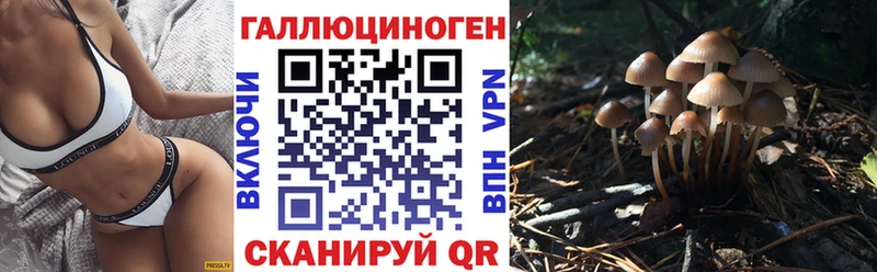 Галлюциногенные грибы Psilocybe  Симферополь 